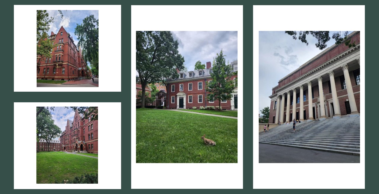 Harvard