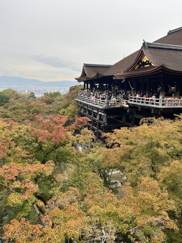 Picture6-768x1024